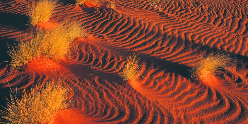 Red sand and spinifex