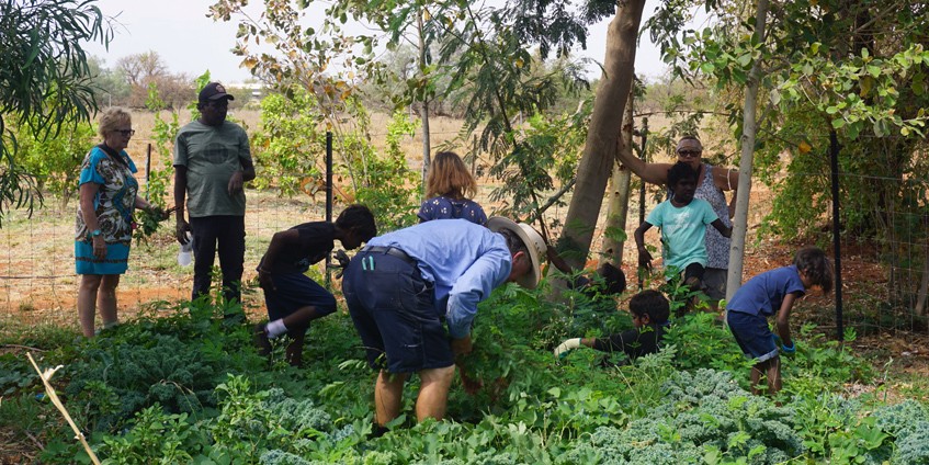 Community and school edible garden