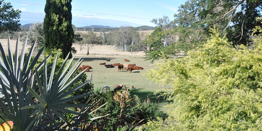 From the veranda of the Spencer’s property