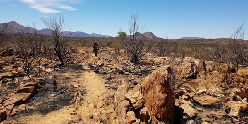 Larapinta trail bushfires