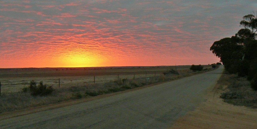 Wheatbelt sunrise