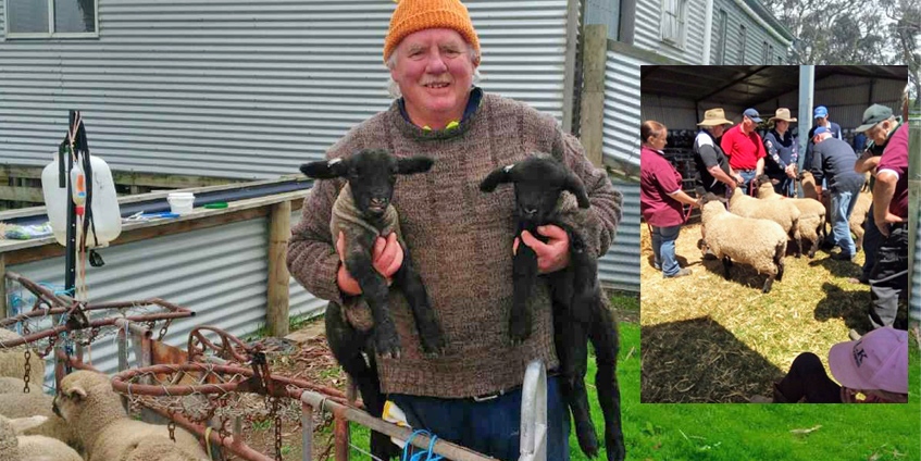 Martin P Butler with ewes