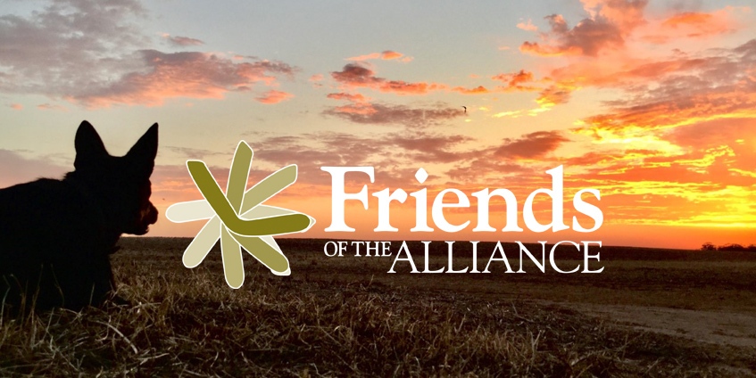 Friends Of the Alliance logo over image of dog and sunset