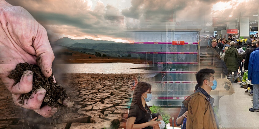 Collage of drought , vector bourne, soil, food scarcity images