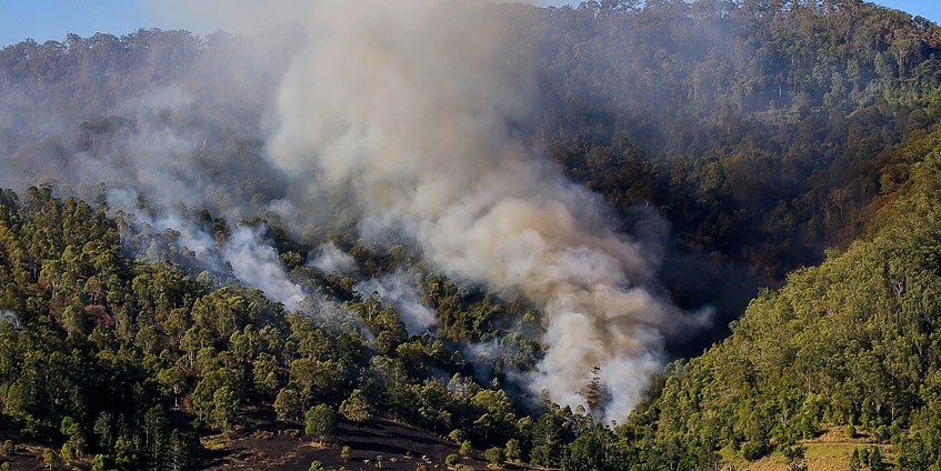 Smoke from bushfire