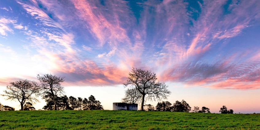 Sunset over grassy hill
