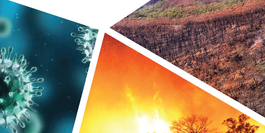 Natural disaster report cover showing fire, drought and virus