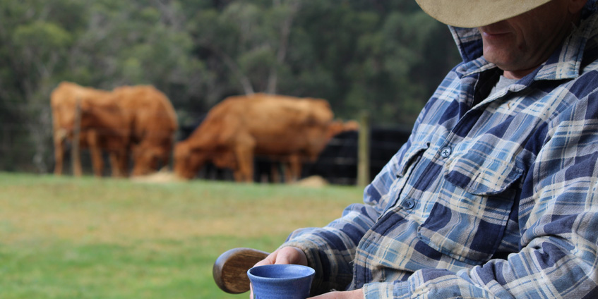 Sleeping farmer with cows
