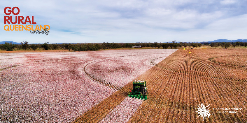 Go rural field being harvested