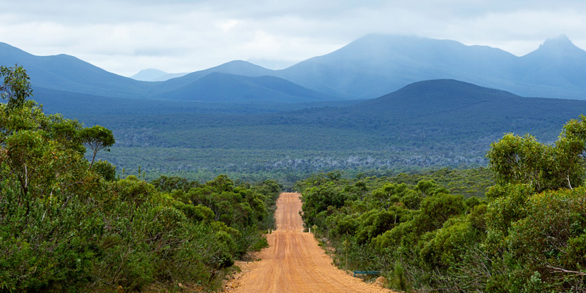 A dirt road running straight in the distance of the Stirling Range National Park