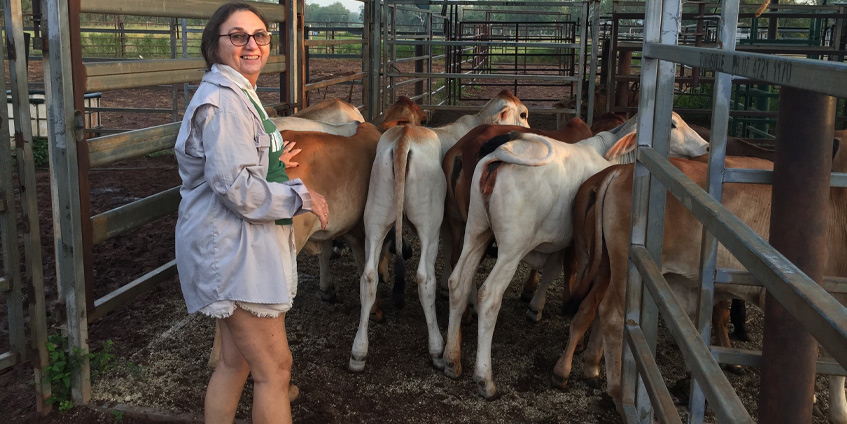 Woman standing behind calves in a shed