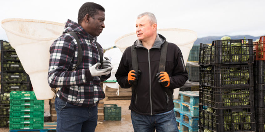 Two men talking on produce farm