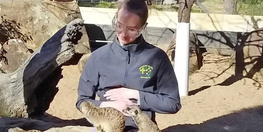 Dr Julia Buras enjoys an encounter with the meerkats at Taronga Western Plains Zoo in Dubbo. [Image: Julia Buras]