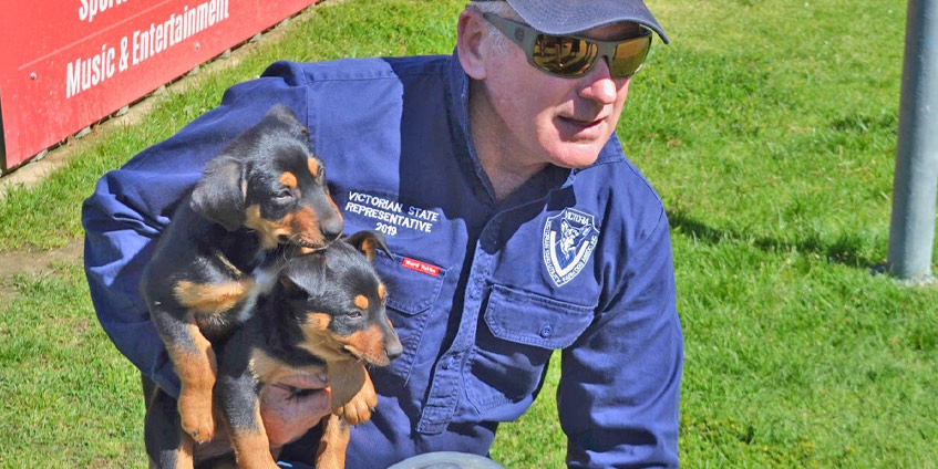 Vin Gedye holding puppies in St Arnaud - Photo GPHU