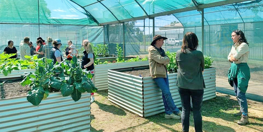 Bourke Community garden