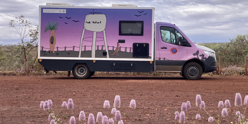 Pilbara East Earbus with wildflowers