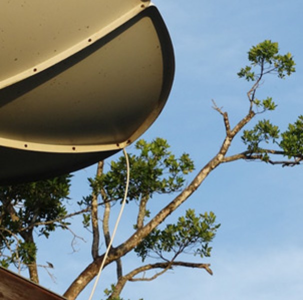 Satellite dish