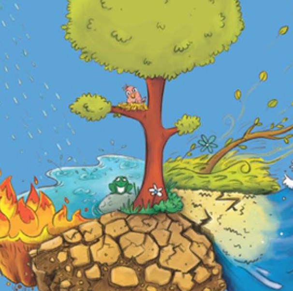 Birdie’s tree cover image