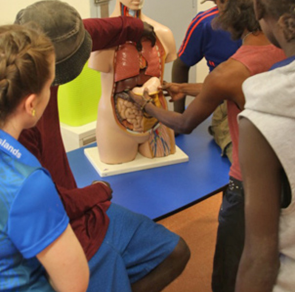 High school students reassemble Gutso the medical mannequin