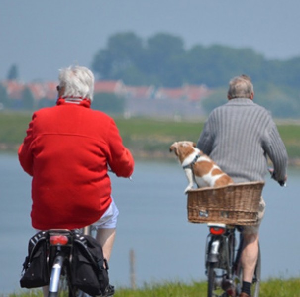 Elderly people on bicycles