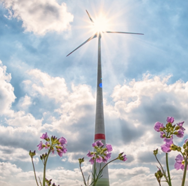 Wind turbine in field