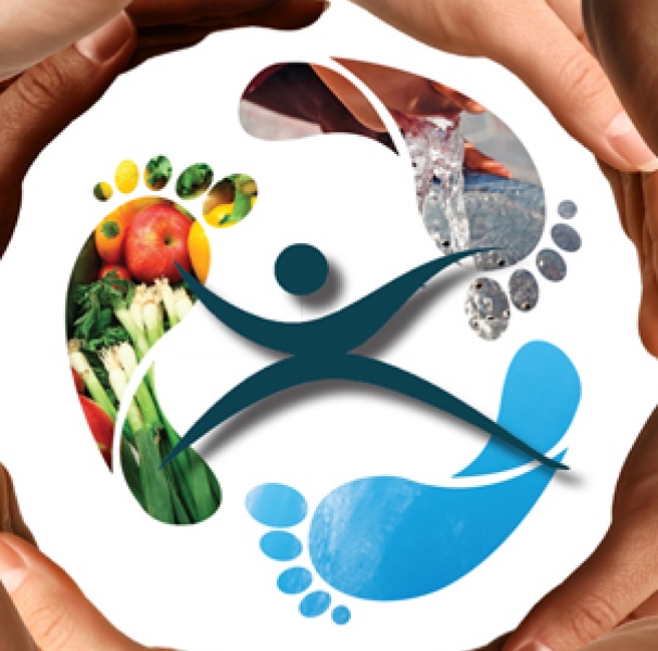  Public Health Association of Australia recently released its report on the Top 10 public health successes over the last 20 years