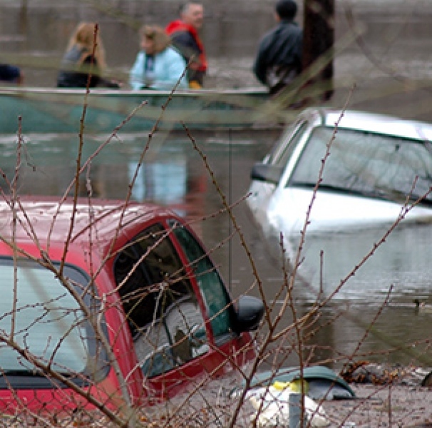 cars in flood