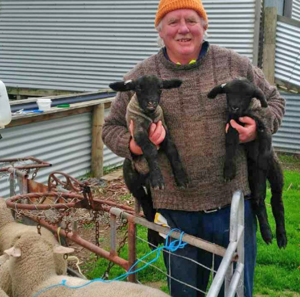 Martin P Butler with ewes