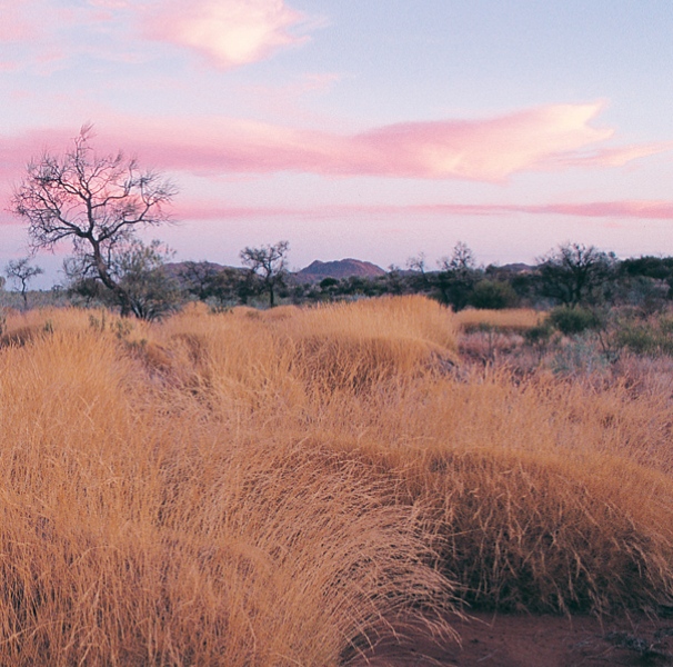 Remote grass land