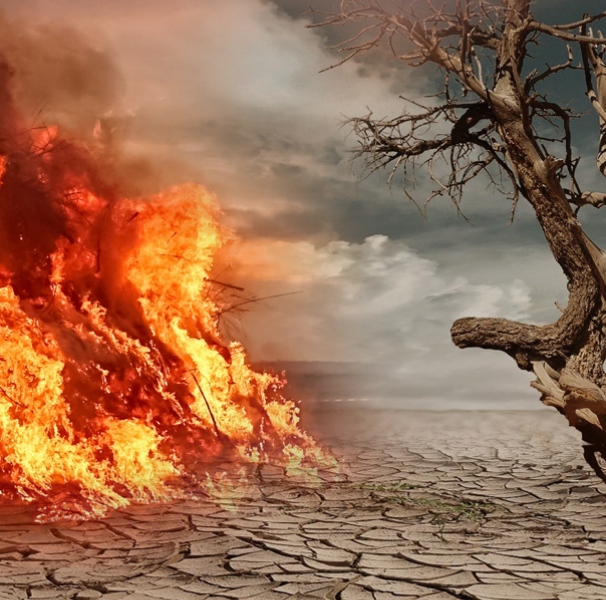 Fire and drought collage