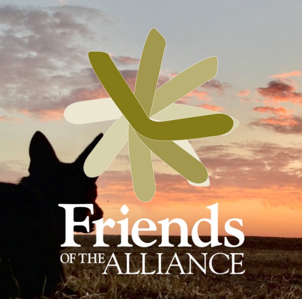 Friends Of the Alliance logo over image of dog and sunset