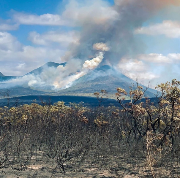 The devastating bush fire in the Stirling Ranges, in WA's Great Southern region.