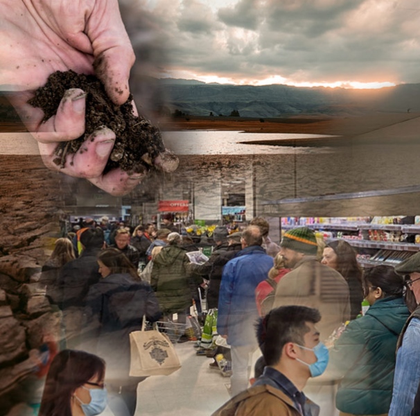 Collage of drought , vector bourne, soil, food scarcity images