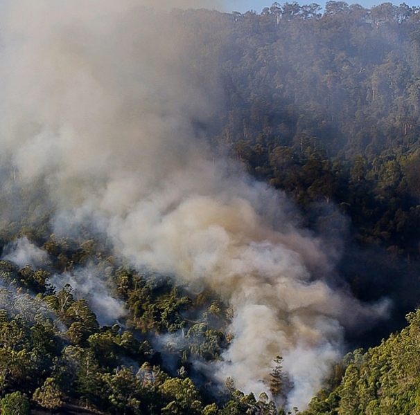 Smoke from bushfire