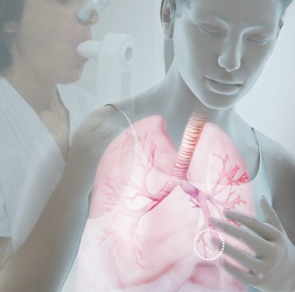 3d image of lungs and spirometry image