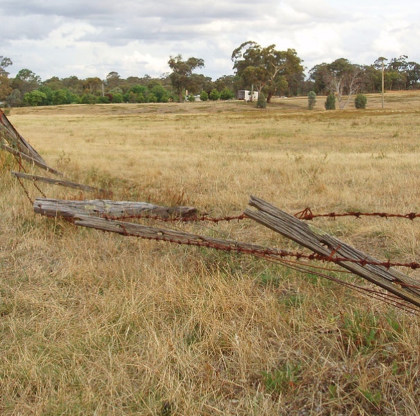 Rural paddock with barbed wire fence