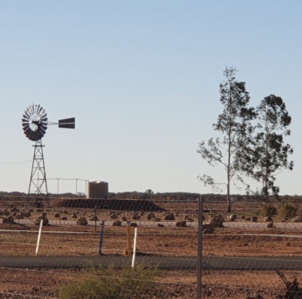 Outback wind pump - A quiet, peaceful day at Charleville, Queensland (photo: Tessa Li Chyin Lim)