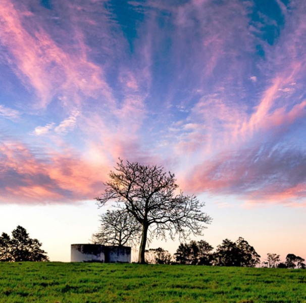 Sunset over grassy hill