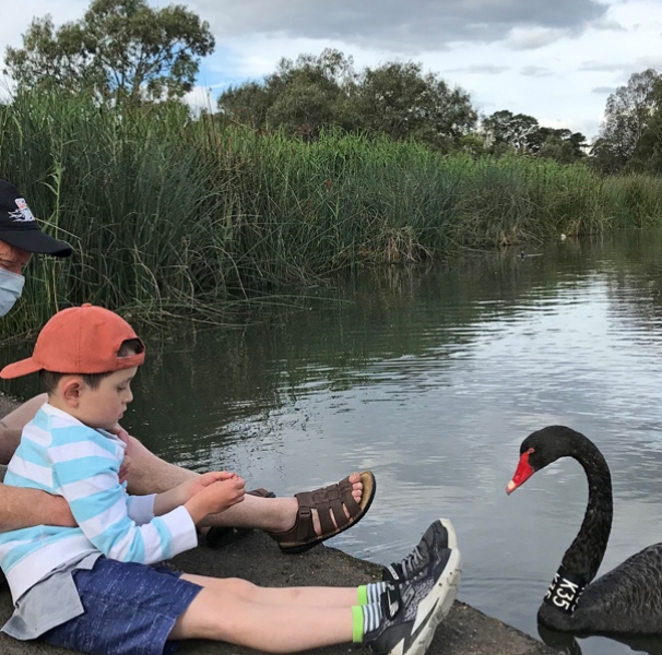 Man and son with black swan
