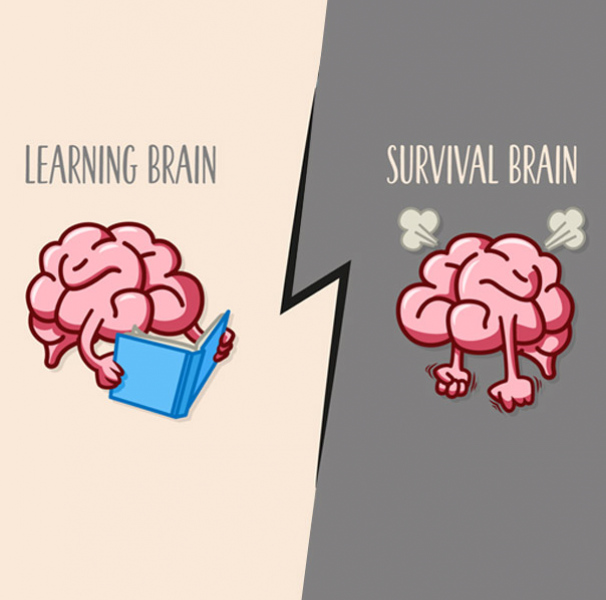 Animation slide  from video
