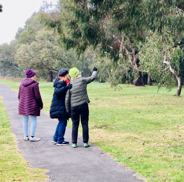 Members of the Winchelsea Heart Foundation Walking Group. Three women on footpath looking at trees