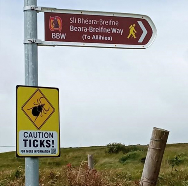 European tick warning signs