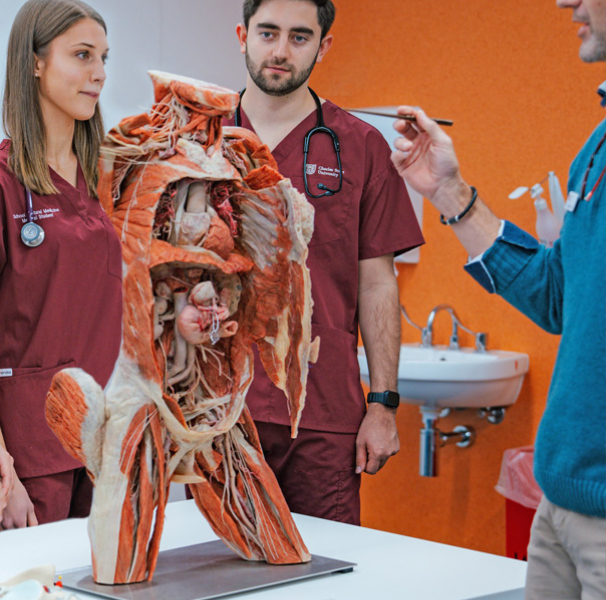 Dr James Wickham, Head of Anatomy, teaching Year 1 students using von Hagens state of the art plastinated specimens.