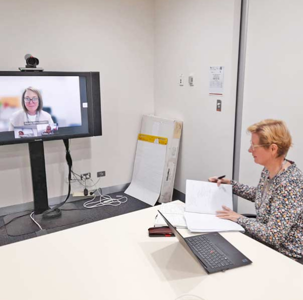 Telehealth meeting