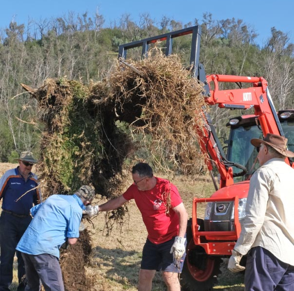 Team Buchan using tractor to lift turf into the air