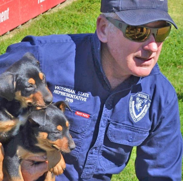 Vin Gedye holding puppies in St Arnaud - Photo GPHU