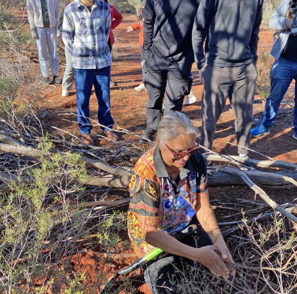 Left: Tjupan Elder Edie Urlich digging for honey ants, used by the Wongutha as a food and medicinal resource.